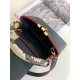 Women's Louis Vuitton CAPUCINES MINI Bag