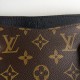 LOUIS VUITTON BLACK MONOGRAM COATED CAVAS AND CERISE LEATHER PALLAS BB GOLD HEARDWARE HANDBAG